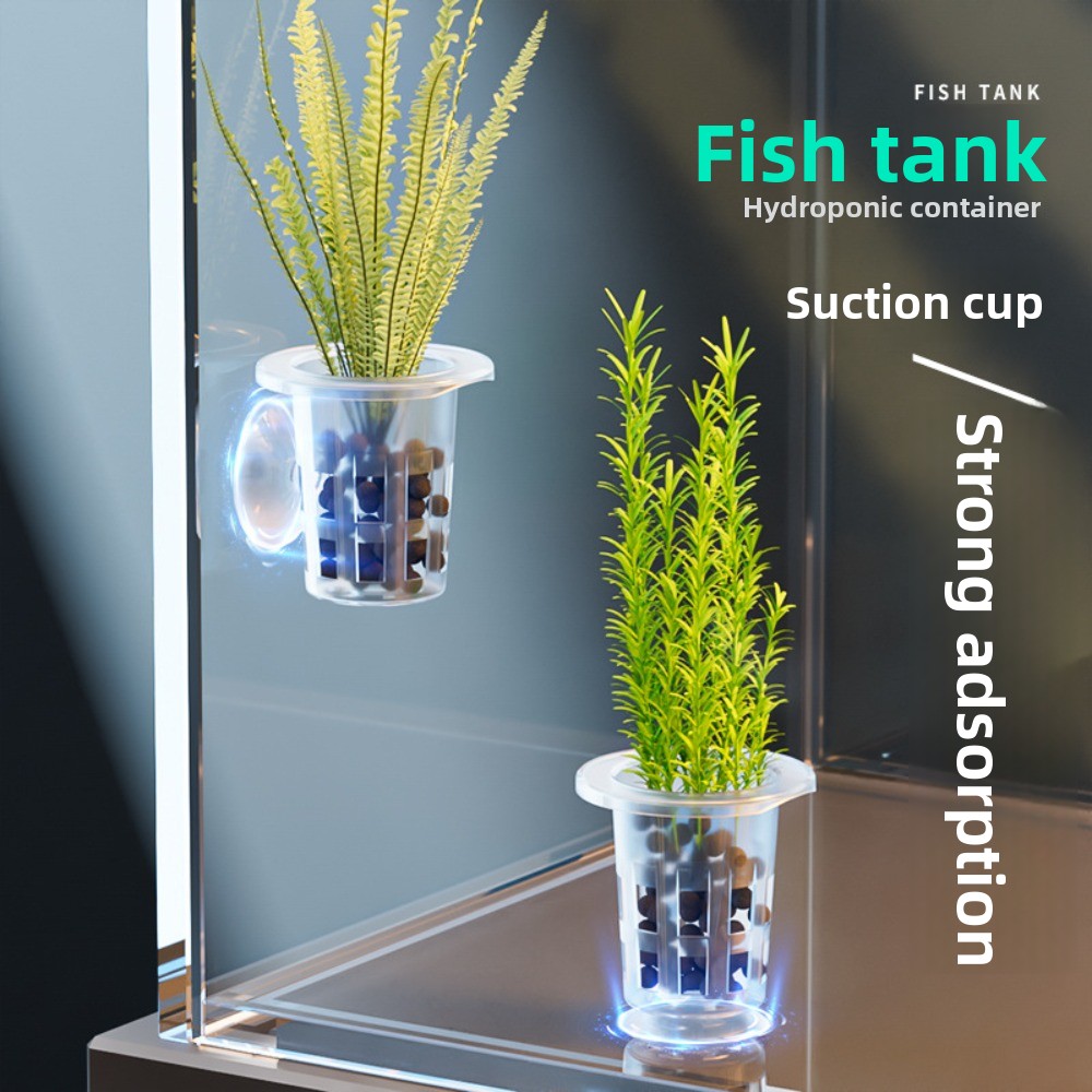 Aquarium Plants Live - 10 Macetas Transparentes para Plantas Hidropónicas,