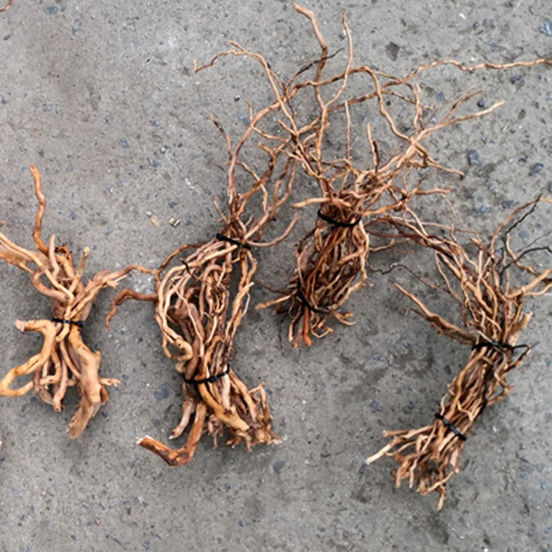 Aquarium Driftwood - Tronco de Madera Natural para Acuario,