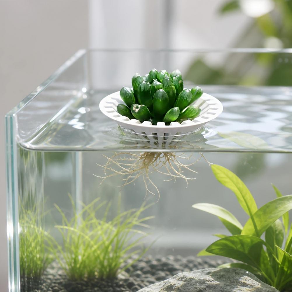 Aquarium Plant Holder - Maceta hidropónica para acuarios, soporte flotante