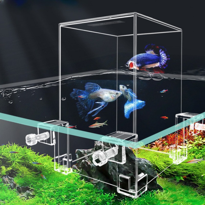 Plant Aquarium Pot - Tanques de acuario creativos, pecera de