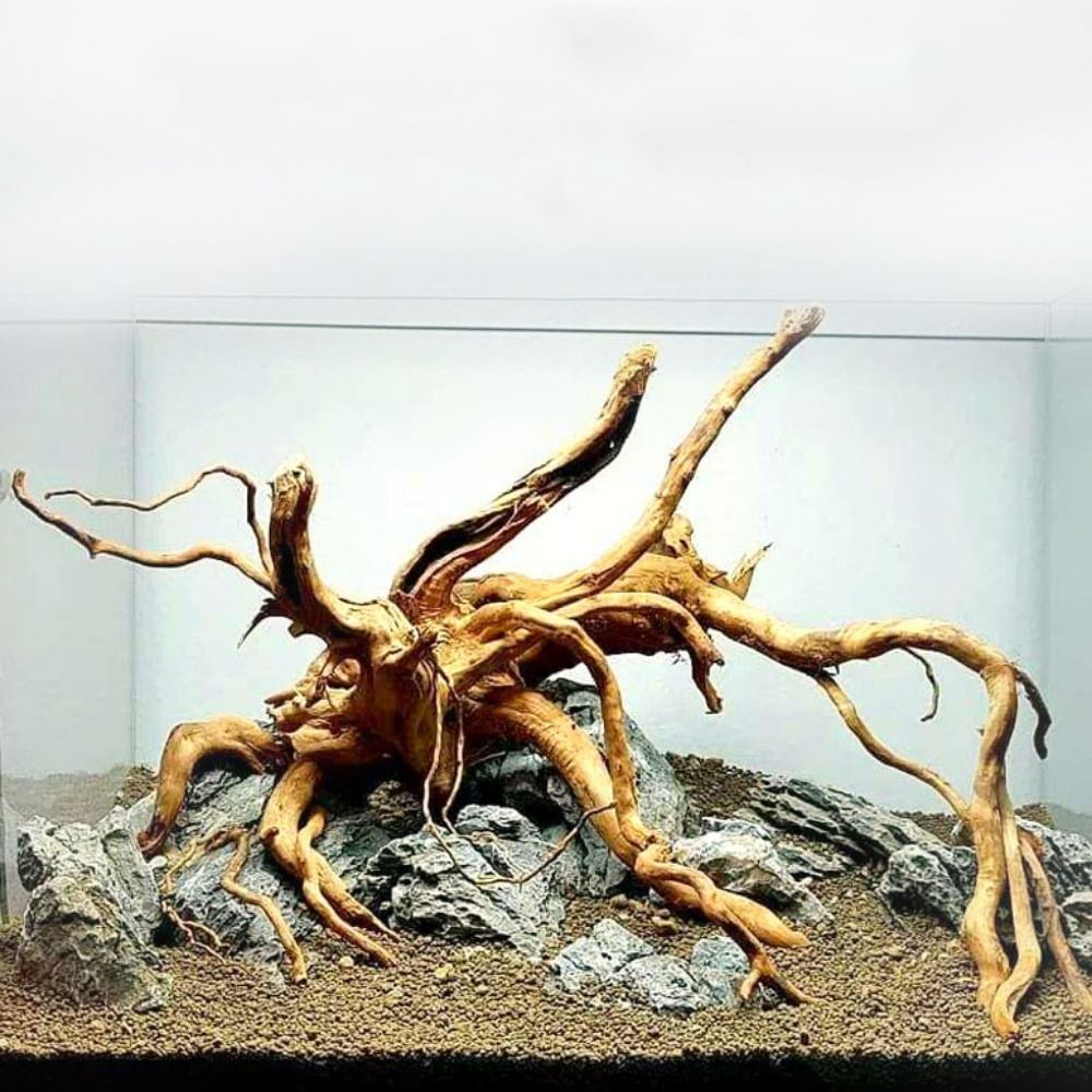Aquarium Driftwood - Tronco de Madera Natural para Acuario