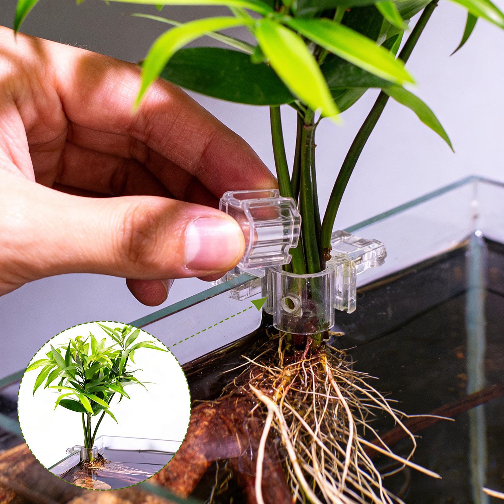Aquarium Plants Live - Soportes para plantas de acuario, soporte