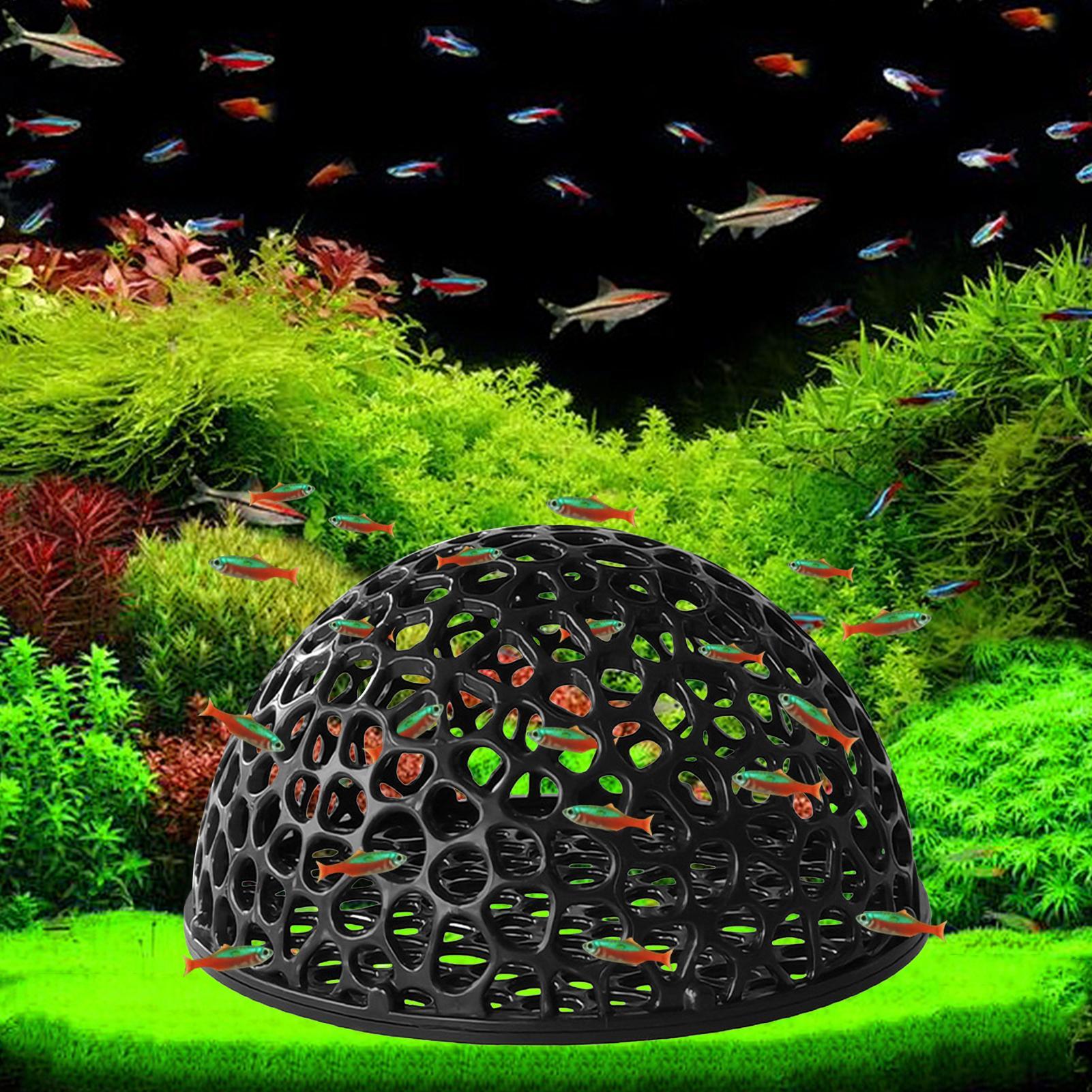 Aquarium Plants Live - Casa de camarones para acuario, cueva,