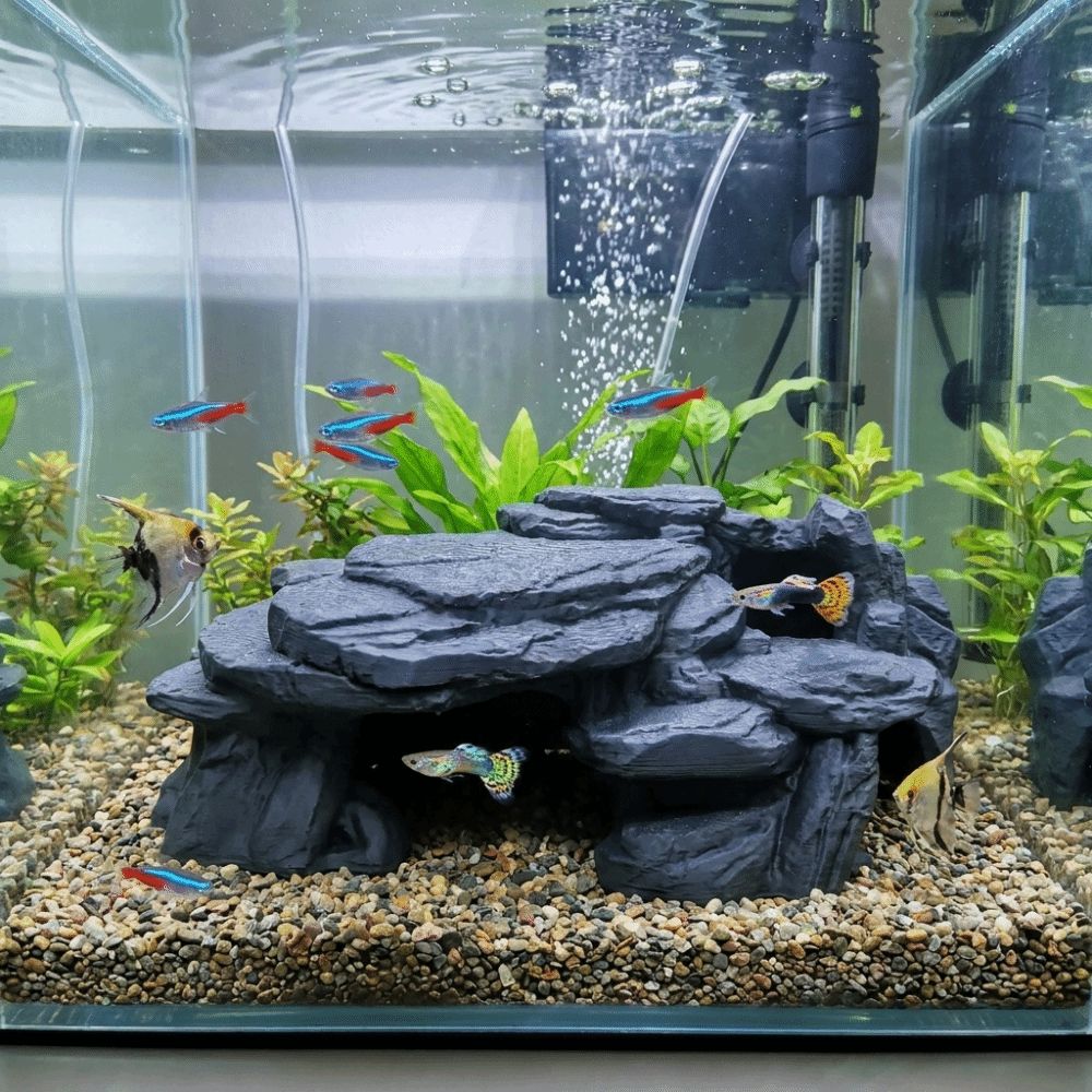 Adornos de Roca para Pecera Im - Aquarium Plants Live reseña y precio