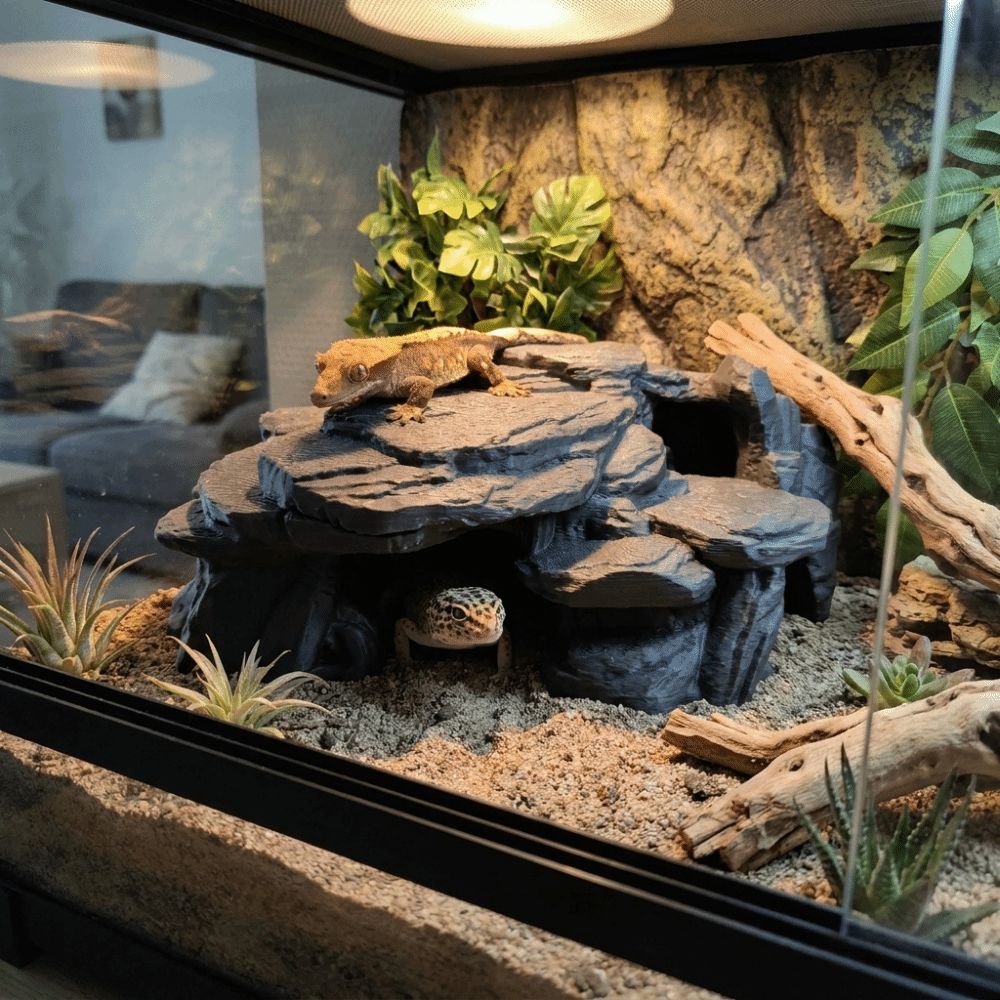 Adornos de Roca para Pecera Im - Aquarium Plants Live reseña y precio