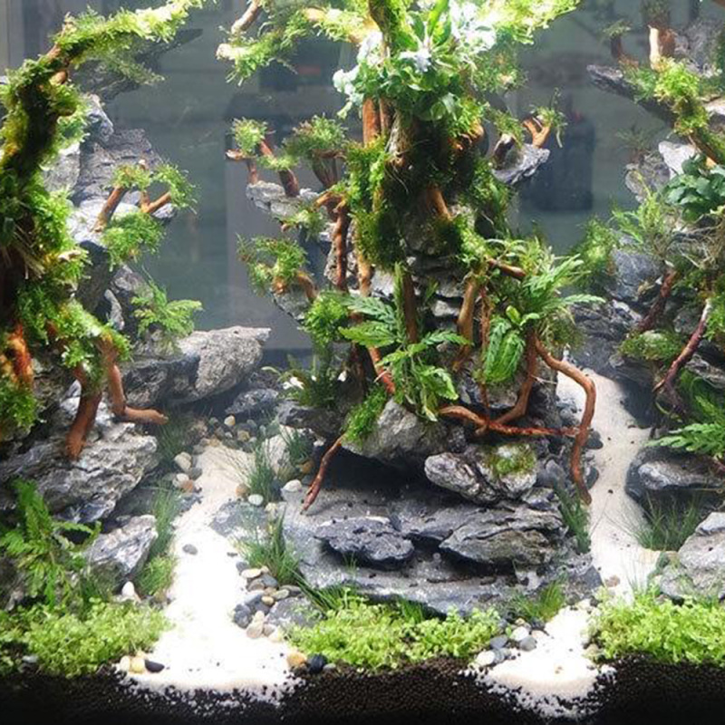 Tronco de Madera Natural para  - Aquarium Driftwood reseña y precio