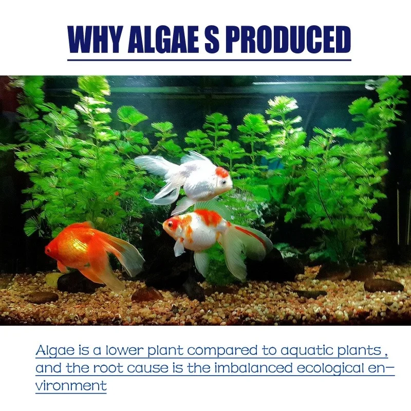 Algaecida de Alta Eficiencia d - Aquarium Fertilizer reseña y precio