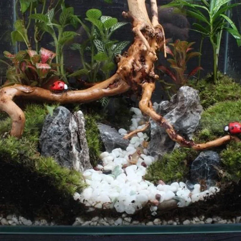 Tronco de árbol Natural de mad - Aquarium Plant Substrate reseña y precio