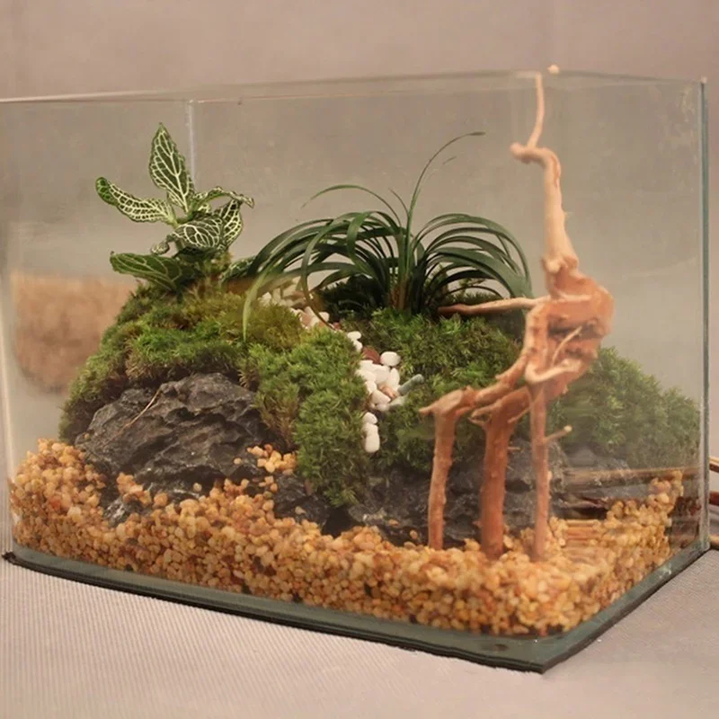 Tronco de árbol Natural de mad - Aquarium Plant Substrate reseña y precio