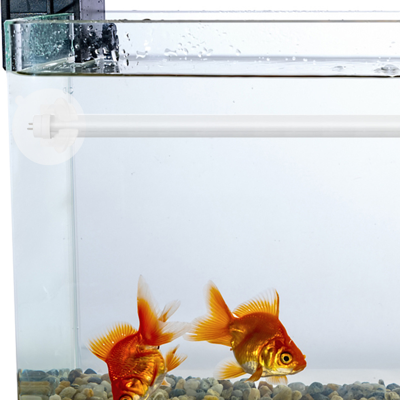 6 piezas de soporte de silicon - Aquarium Plant Light reseña y precio