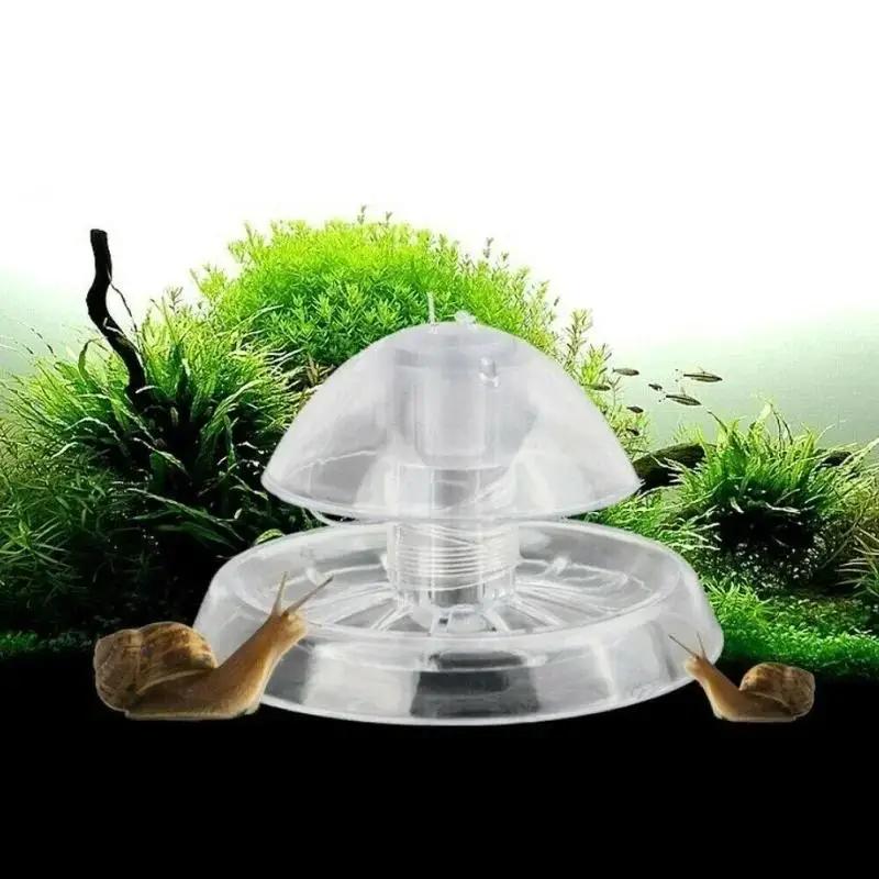 Nueva Trampa para Caracoles de - Planted Aquarium Cleaning reseña y precio