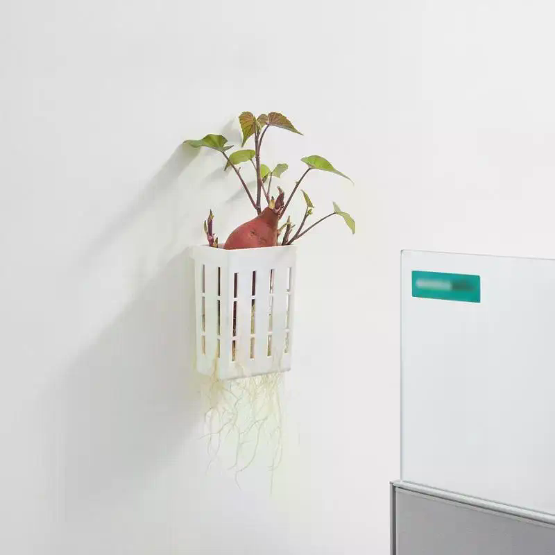 1 unidad de cesta de soporte h - Plant Aquarium Pot reseña y precio