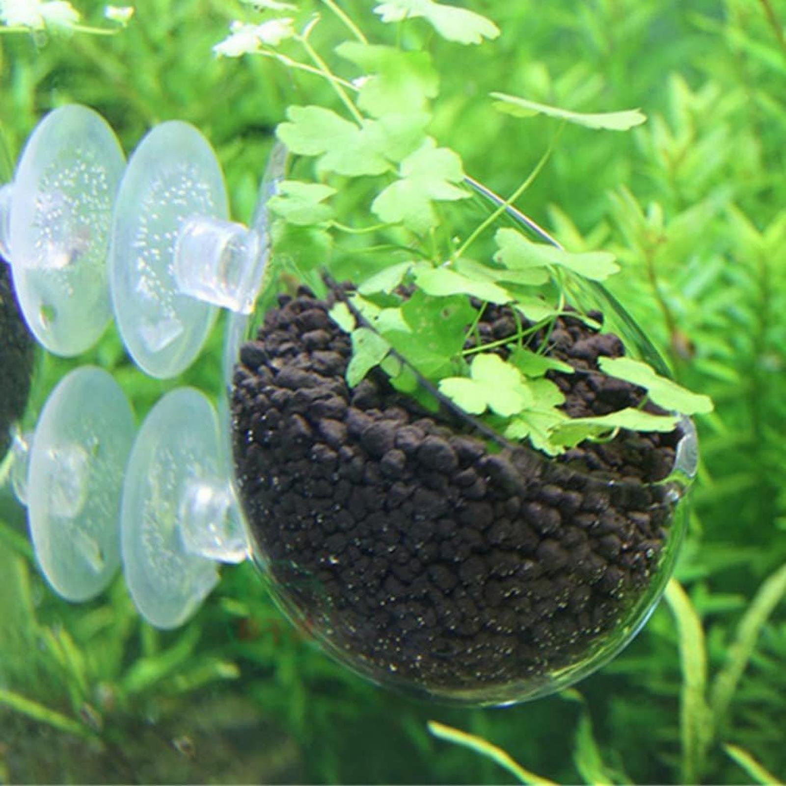 Soporte para Plantas de Acuari - Aquarium Plants Live reseña y precio