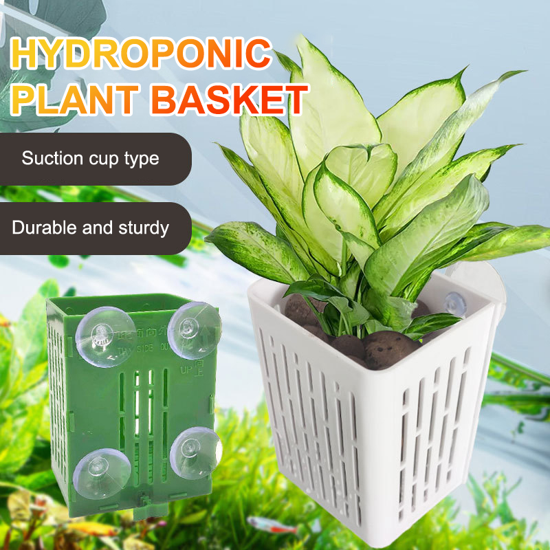 Gancho de ventosa colgante, so - Plant Aquarium Pot reseña y precio