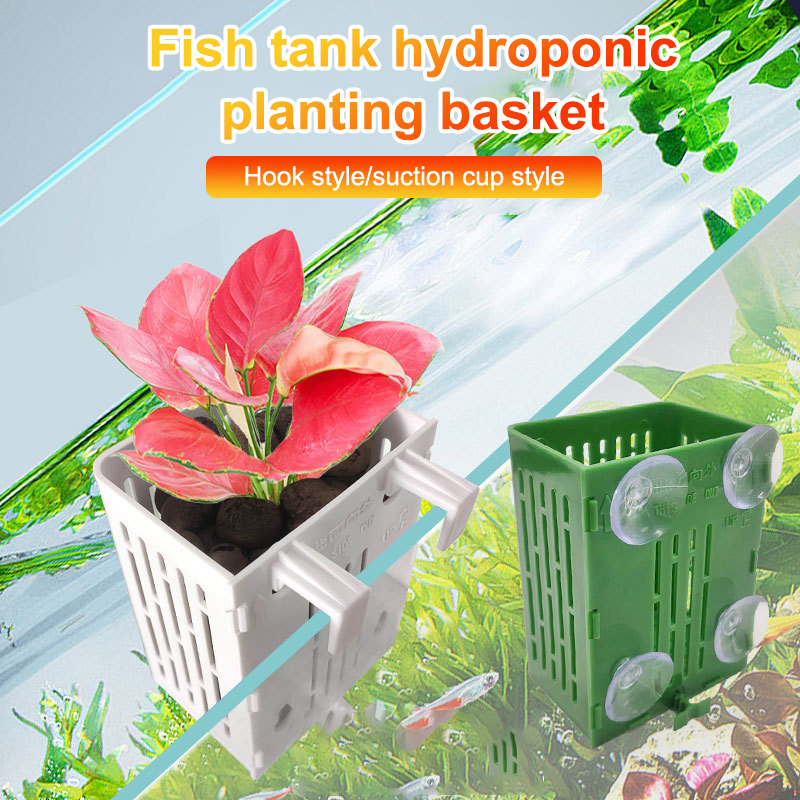 Gancho de ventosa colgante, so - Plant Aquarium Pot reseña y precio