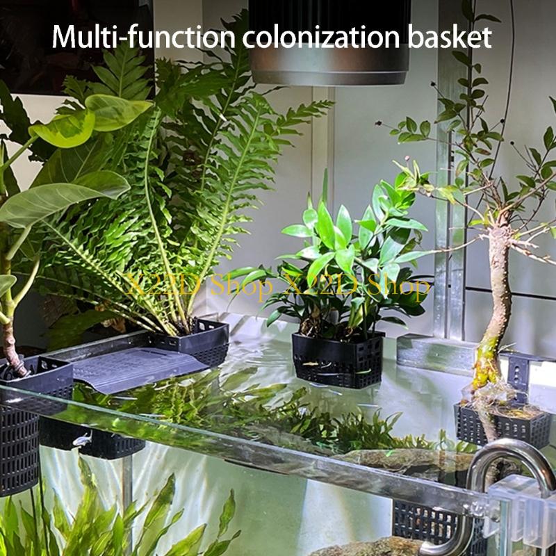 X22D Contenedor montado en par - Plant Aquarium Pot reseña y precio