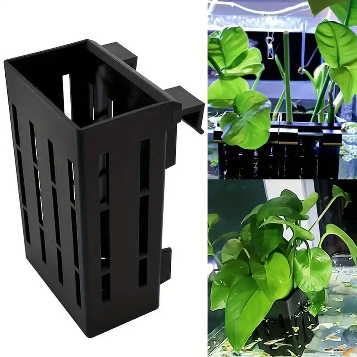 Soporte para plantas de acuari - Aquarium Plant Holder reseña y precio