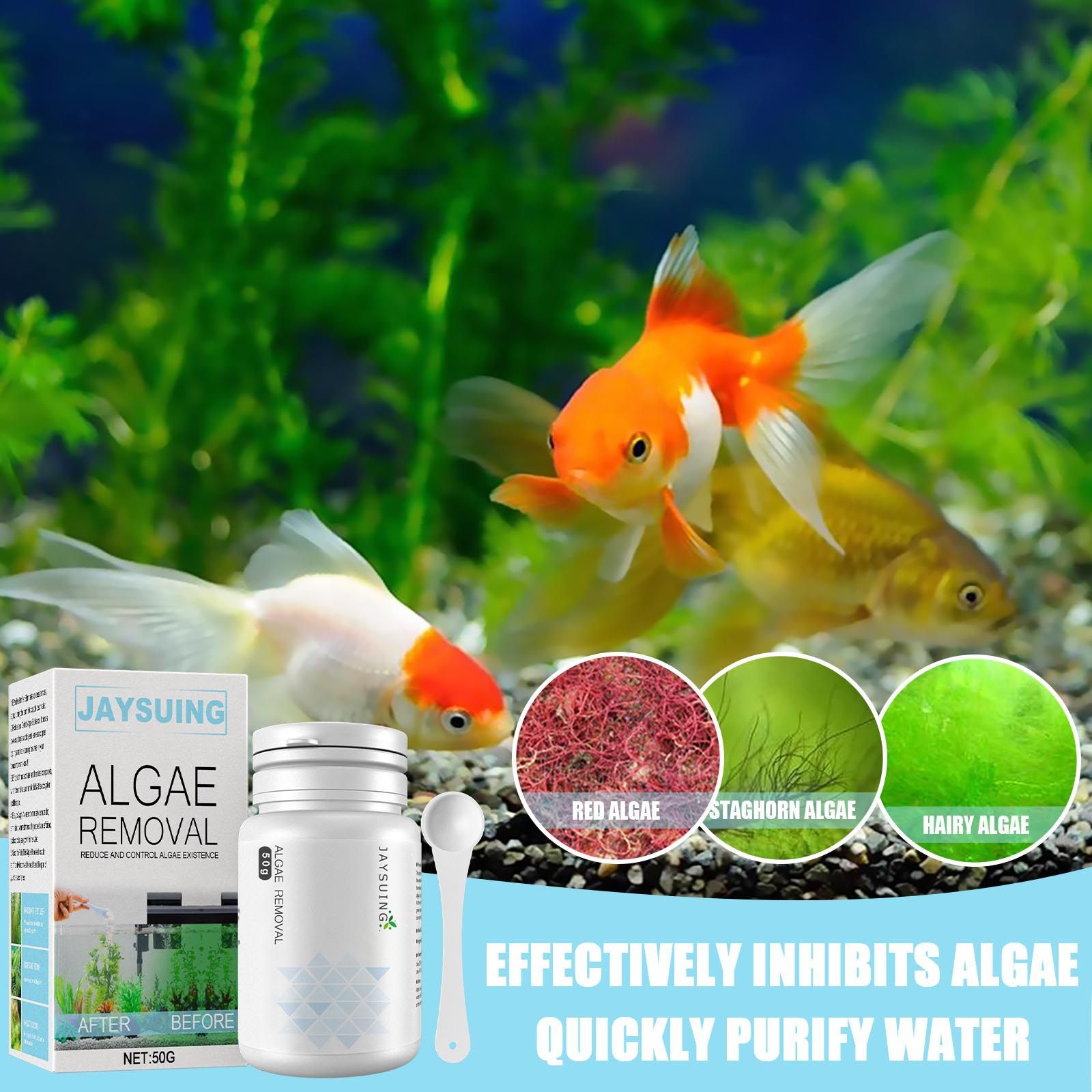 Polvo eliminador de algas para - Aquarium Moss reseña y precio