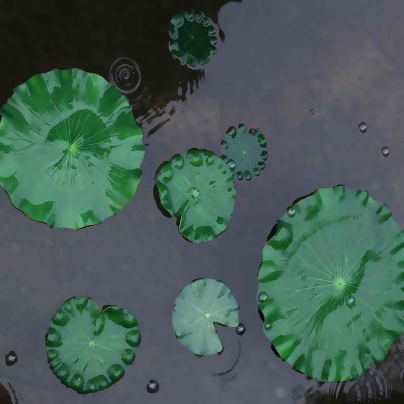 Hojas de Loto Artificiales 202 - Aquarium Plant Substrate reseña y precio