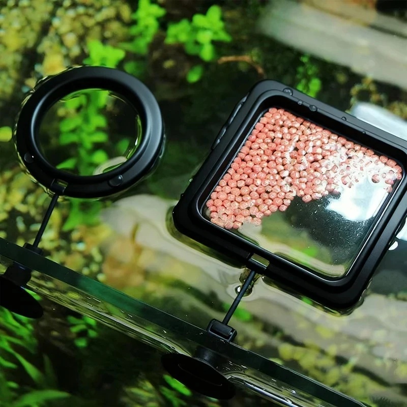 1/3 piezas Anillo de alimentac - Aquarium Fertilizer reseña y precio