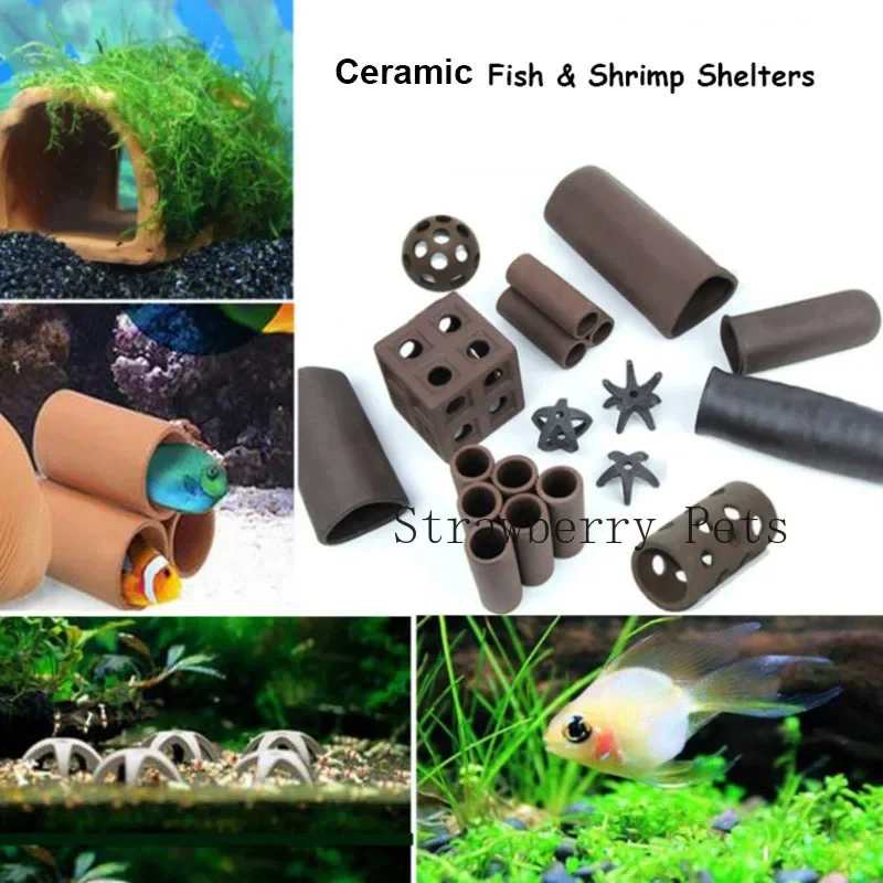 Decoración de acuario de cerám - Aquarium Plants Live reseña y precio