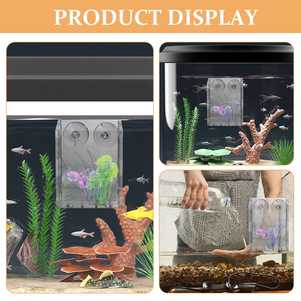 3 unidades de soportes para pl - Plant Aquarium Pot reseña y precio