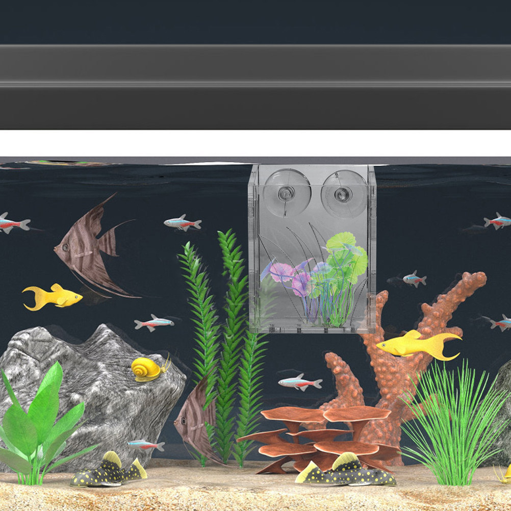 3 unidades de soportes para pl - Plant Aquarium Pot reseña y precio