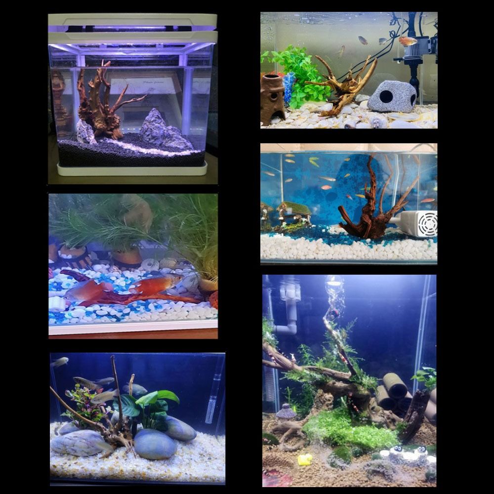 Tronco de Madera Natural para  - Aquarium Driftwood reseña y precio