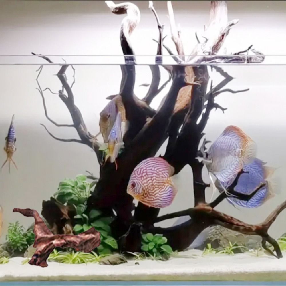 Tronco de Madera Natural de Co - Aquarium Driftwood reseña y precio