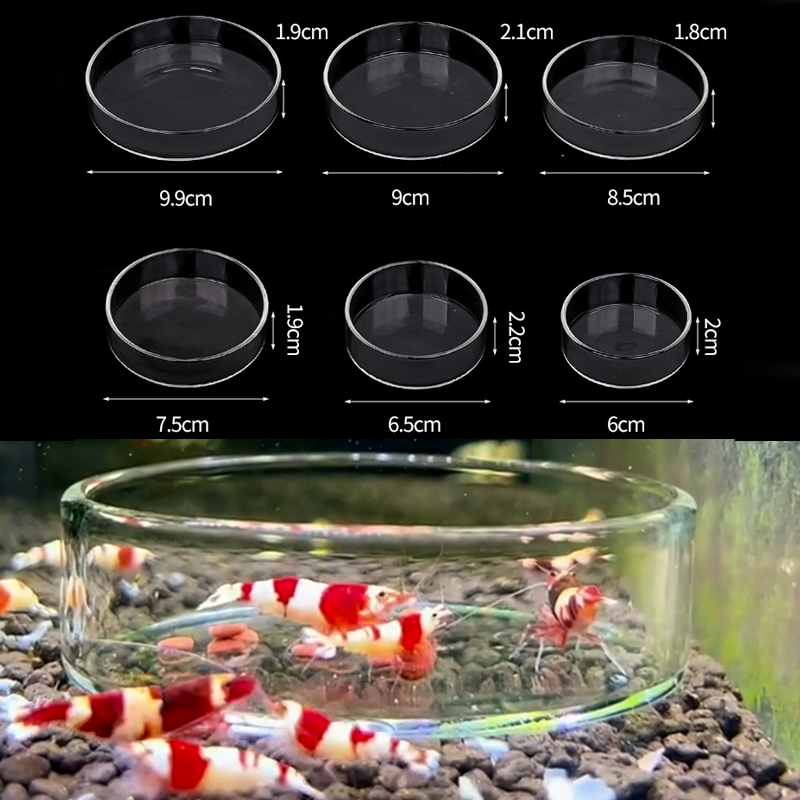 Plato de alimentación de camar - Aquarium Fertilizer reseña y precio