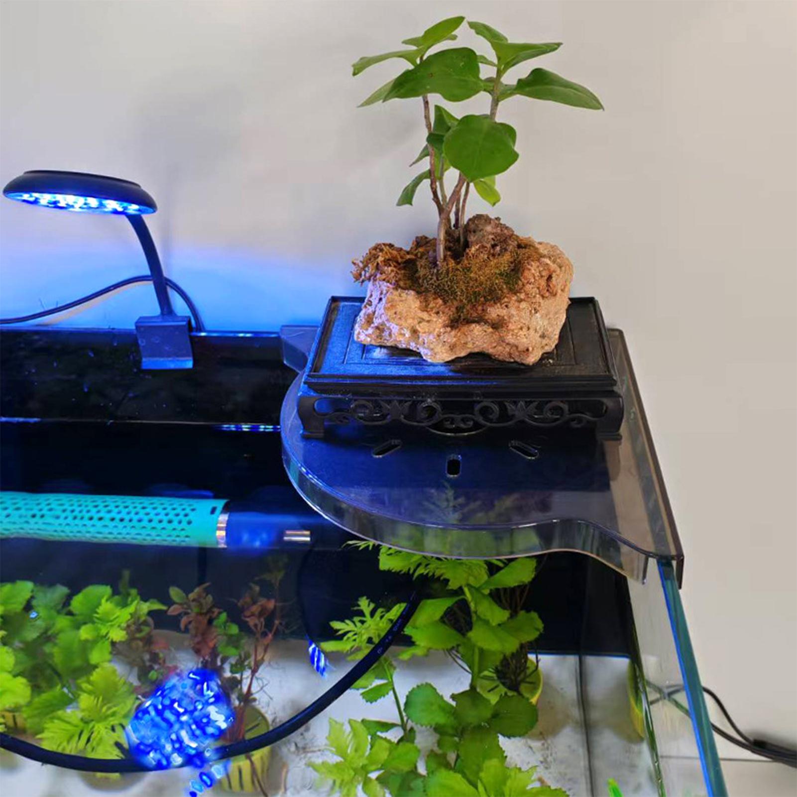 Estante de Almacenamiento en E - Aquarium Plants Live reseña y precio