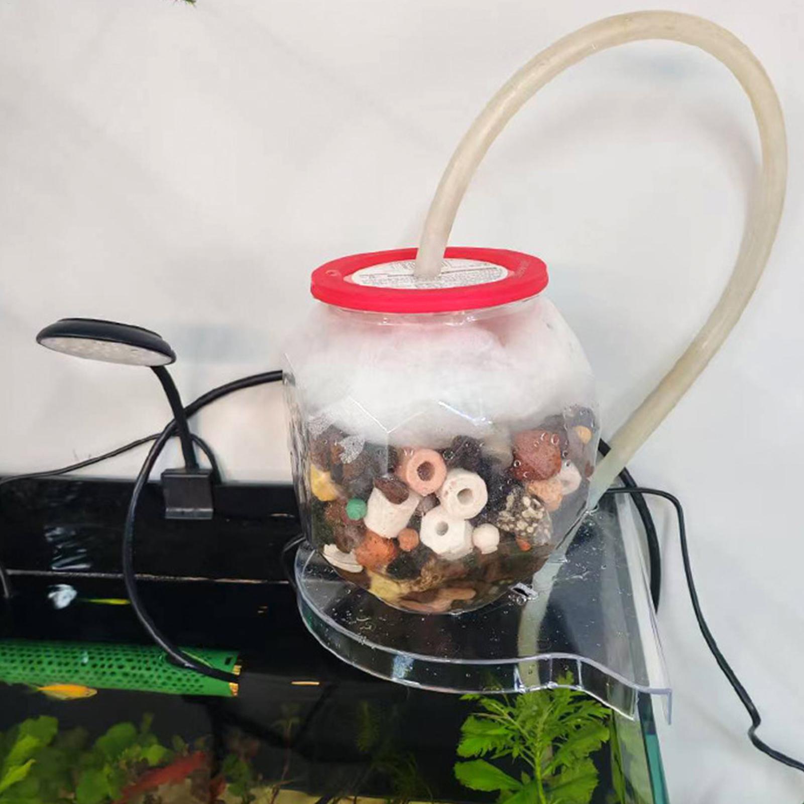 Estante de Almacenamiento en E - Aquarium Plants Live reseña y precio