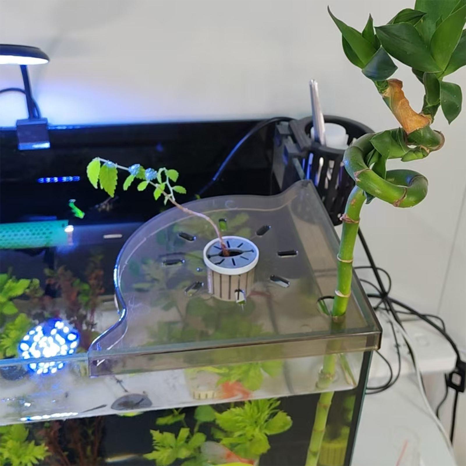 Estante de Almacenamiento en E - Aquarium Plants Live reseña y precio