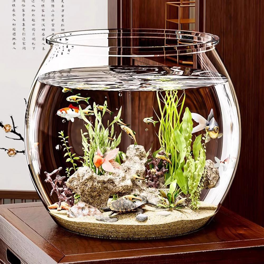 Pecera redonda de plástico tra - Plant Aquarium Pot reseña y precio