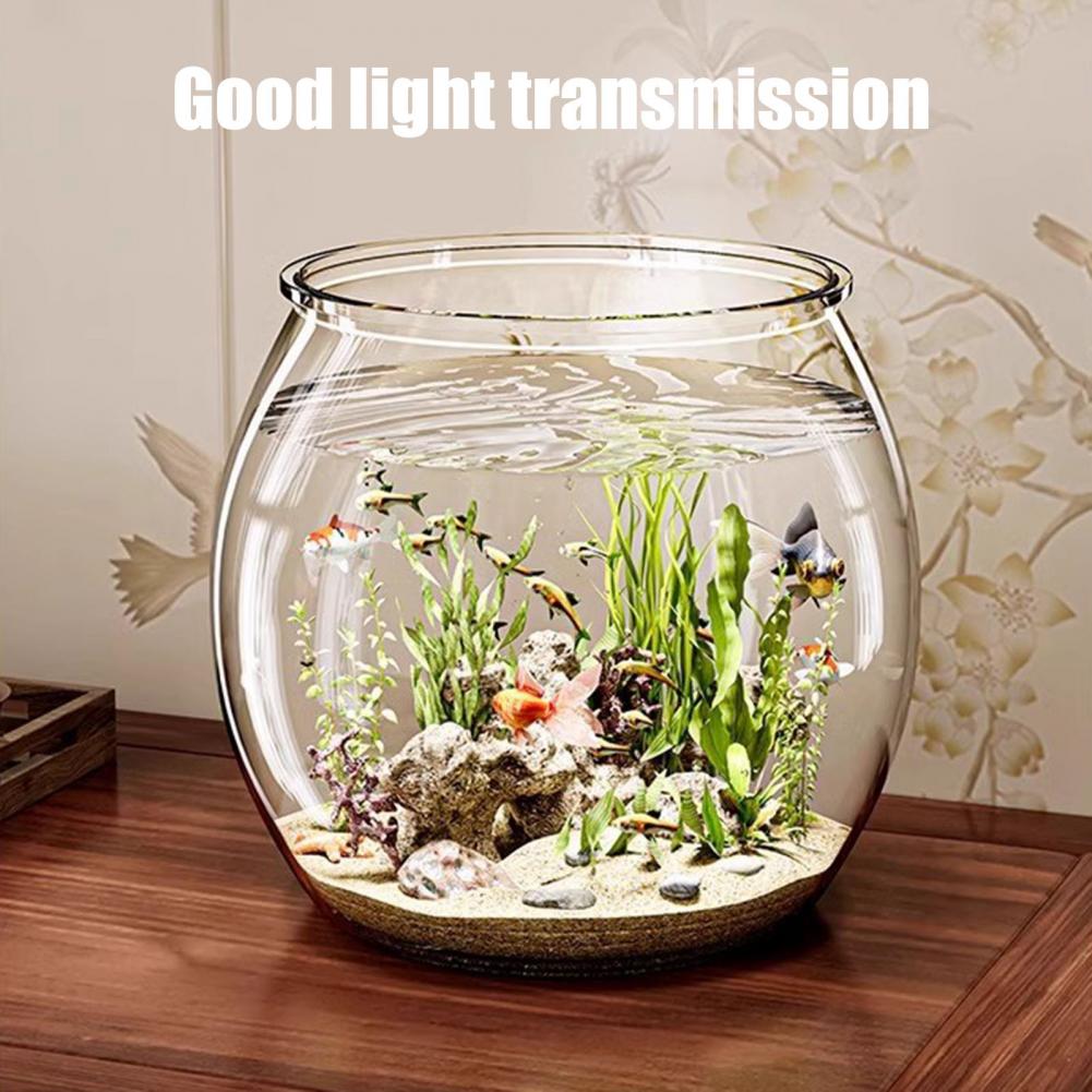 Pecera redonda de plástico tra - Plant Aquarium Pot reseña y precio