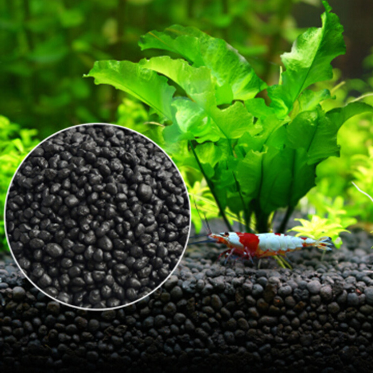 Semillas de plantas de Acuario - Aquarium Fertilizer reseña y precio