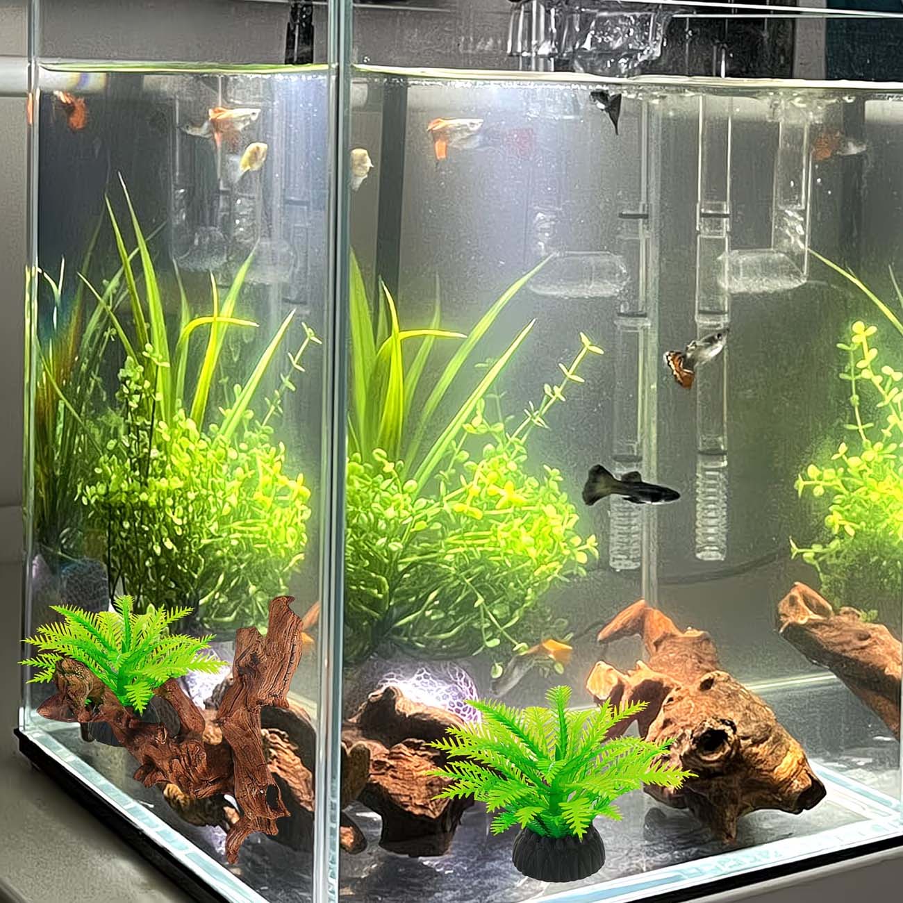 Madera Flotante Natural de 5-1 - Aquarium Driftwood reseña y precio