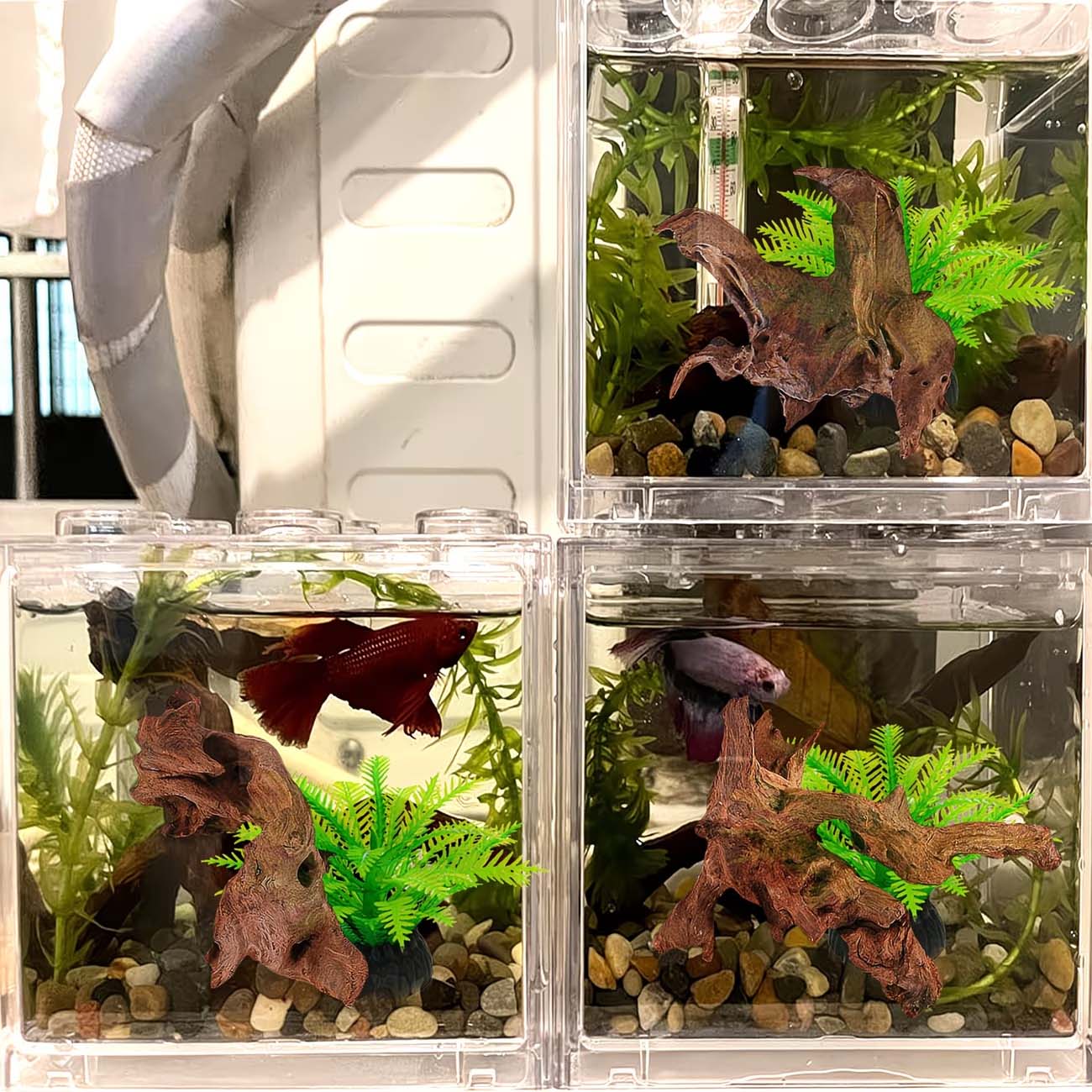Madera Flotante Natural de 5-1 - Aquarium Driftwood reseña y precio