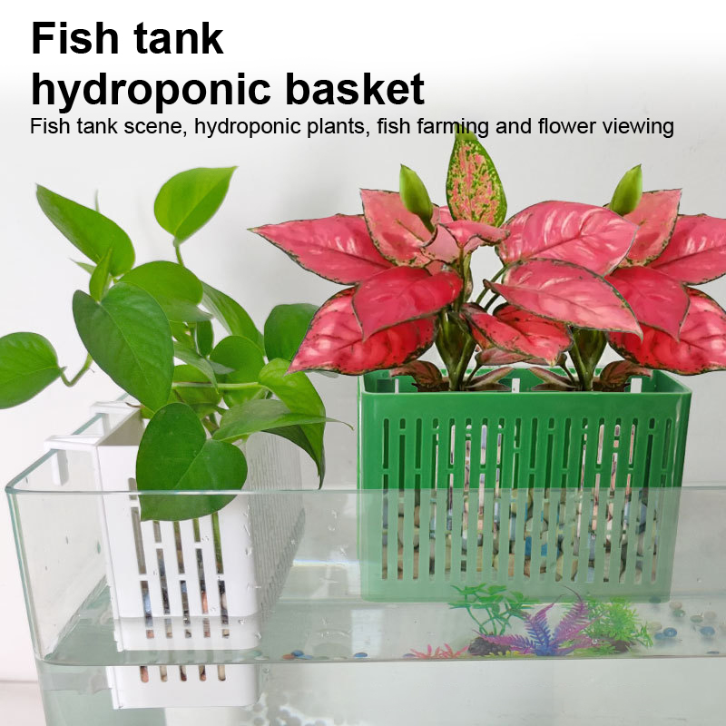 【F】Maceta colgante para acuari - Aquarium Plant Substrate reseña y precio