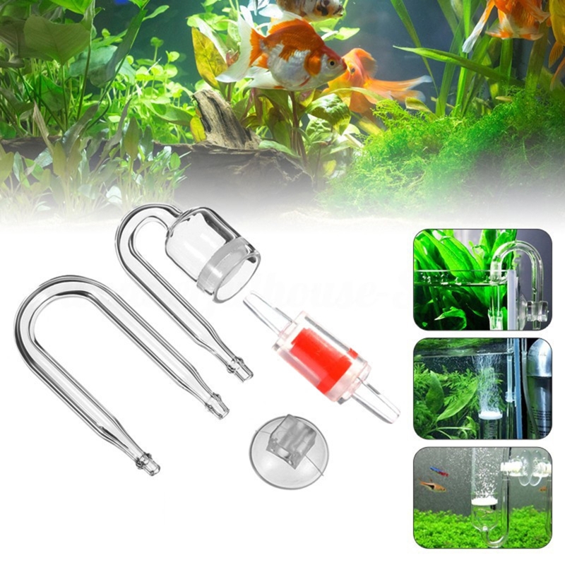 Juego de 4 piezas de difusor d - Aquarium Plants Live reseña y precio